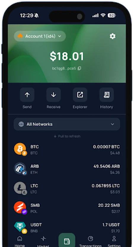 Account screen with send, receive, explorer and history actions